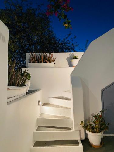 a staircase with potted plants on a white wall at Galanos Katoikies in Órmos Aiyialís