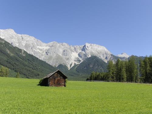 a small cabin in a field with mountains in the background at Haus Thurner in Obsteig