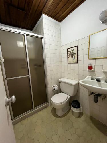 a bathroom with a shower and a toilet and a sink at Hotel Alpino in Armenia