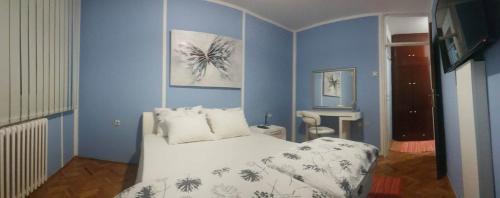 a bedroom with blue walls and a bed in a room at Shangri La Residence in Niš
