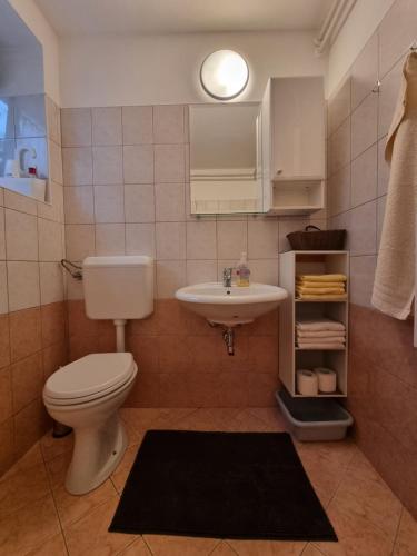 ein Bad mit einem WC und einem Waschbecken in der Unterkunft Apartma Rutar in Tolmin