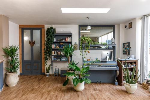 維拉西繆斯的住宿－Domo Anna，一间办公室,里面装有盆栽植物,一张桌子和键盘