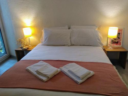 een slaapkamer met een bed met twee handdoeken erop bij Passage du Cygne in Blois