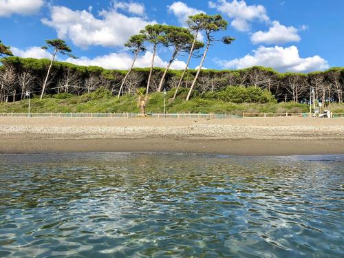 a beach with trees in the background and water at Casa Rosmarino, grill, Wi-Fi by ToscanaTour in Riparbella