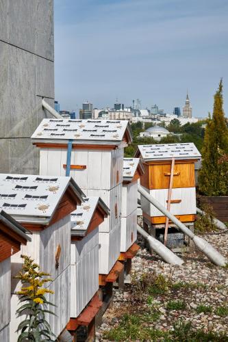 a row of houses on the side of a building at Regent Warsaw Hotel in Warsaw