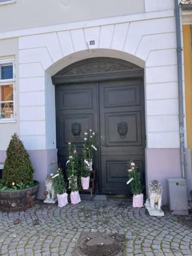 Gallery image of Apothekergaarden Stege B&B in Stege