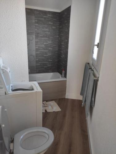une salle de bain avec toilettes et baignoire dans l'établissement Vacances Ambassades du Soleil, au Cap d'Agde