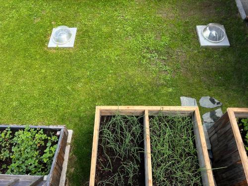 an overhead view of three raised plants on the grass at Chalet Piz da Peres in Valdaora