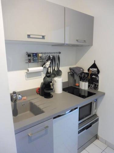 un comptoir de cuisine avec un évier et un micro-ondes dans l'établissement studio avec vue sur lac, à Aix-les-Bains