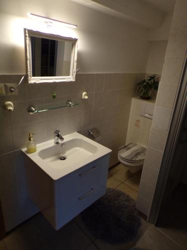 a bathroom with a sink and a toilet at Peeneurlaub in Lassan