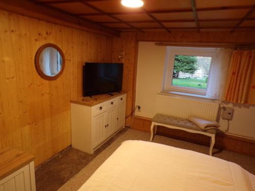 a bedroom with a bed and a television on a dresser at Peeneurlaub in Lassan