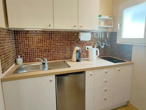 a kitchen with a sink and a counter top at Le gîte entre val et rose in Provins