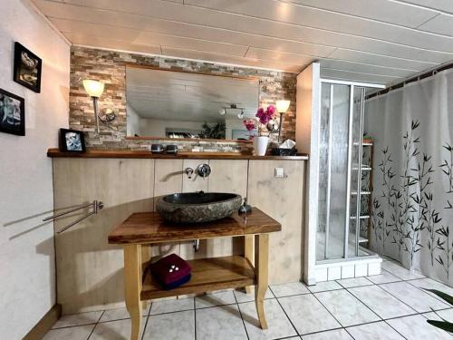 een badkamer met een wastafel in een kamer bij Rustikales Studio-Apartment Blockstube im Haus Selma in Großschönau
