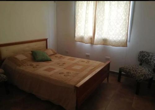 1 dormitorio con cama, ventana y silla en Casa completa tipo campo. a 50 km de la capital Federal en General Rodríguez