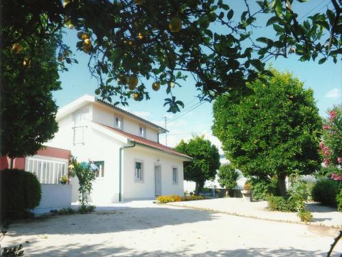 Besteiros的住宿－Casa Quelhas，前面有树木的白色房子