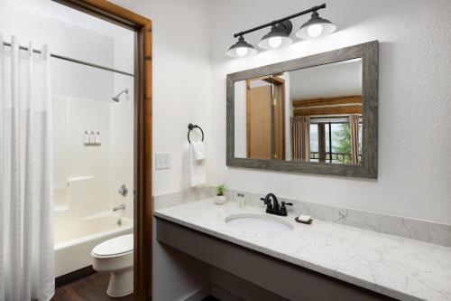 a bathroom with a sink and a mirror at Salmon Falls Resort in Ketchikan