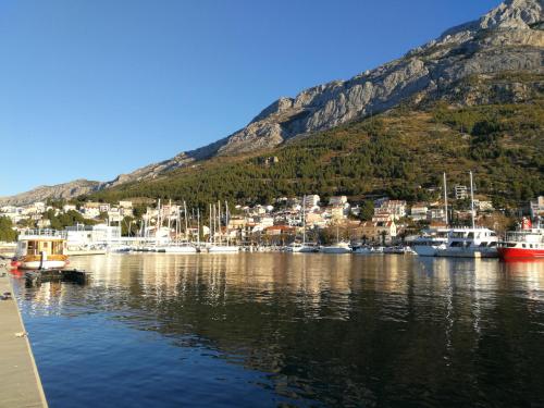 un groupe de bateaux amarrés dans un port avec une montagne dans l'établissement House Elka, à Baška Voda