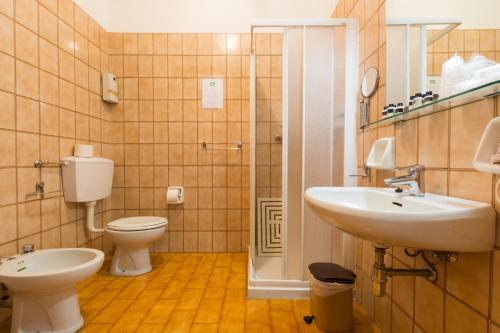a bathroom with a toilet and a sink and a shower at Albergo Dalla Mena in Romano D'Ezzelino