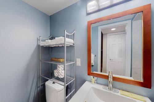 Wintergreen 125 في الجبال الزرقاء: حمام مع حوض ومرآة ومرحاض