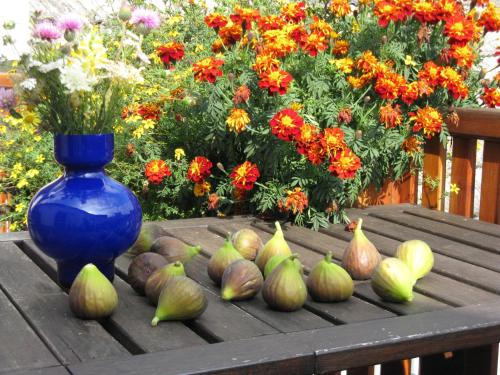 a table with a blue vase and a bunch of gourds at Stieglerhof KG in Illmitz