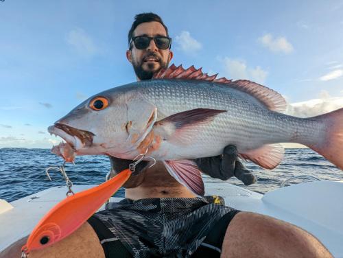 a man holding a fish in his mouth at Dhoani Maldives Guesthouse in Kendhoo