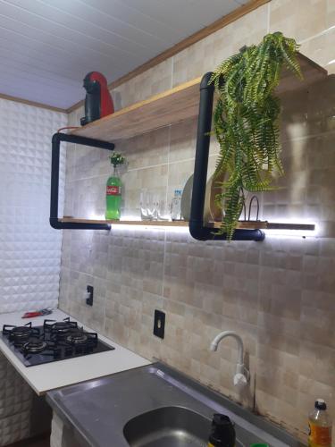um balcão de cozinha com um lavatório e uma planta numa prateleira em TownhouseFloripa II Praia do Moçambique-RioVermelho em Florianópolis