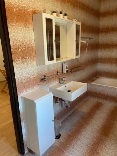 a bathroom with a white sink and a mirror at Casa Estancia Apartment in Njivice