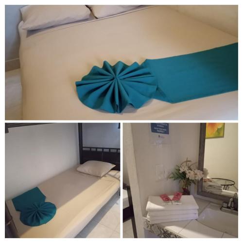 Hostal & Hotel Casa Fernanda