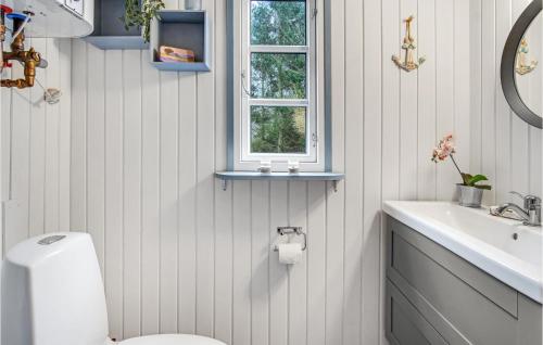 a bathroom with a toilet and a sink and a window at 3 Bedroom Cozy Home In Nykøbing Sj in Lumsås