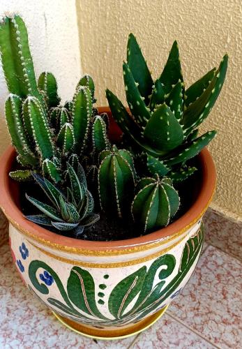Apartament Casa Milo playa Los Locos photo 24