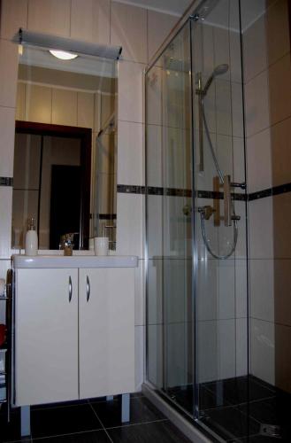 シャールヴァールにあるÁdám Apartmanのバスルーム(ガラス張りのシャワー、シンク付)