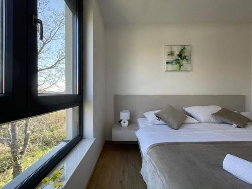 梅杜林Apartman Moonlight Medulin的一间有两张床和一扇大窗户的卧室