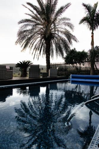 a swimming pool with a palm tree in the background at Diamond Mansion-Suite B in Had Nes