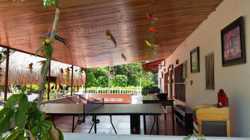 eine Tischtennisplatte in einem Haus mit Vögeln an der Decke in der Unterkunft FINCA-CASA DE DESCANSO GUAMO TOLIMA in Guamo