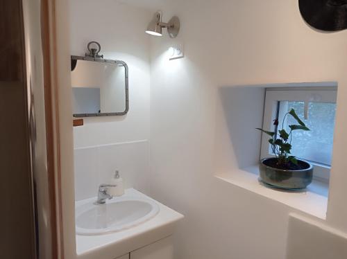 uma casa de banho com um lavatório, um espelho e um vaso de plantas em Logis proche des plages du débarquement em Vaucelles