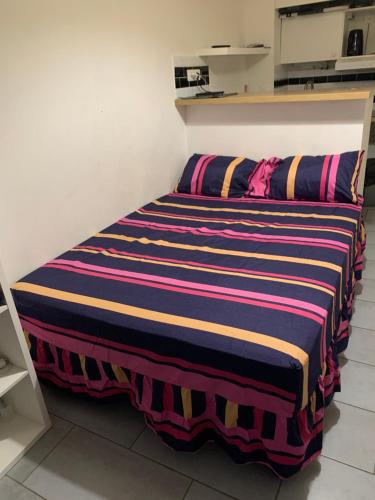 マント・ラ・ジョリーにあるStudio à mantesのストライプ毛布付きの客室のベッド1台