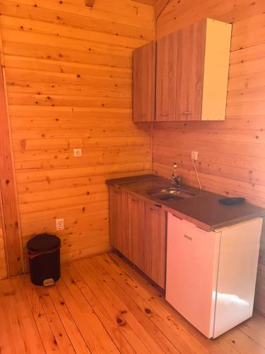 eine Küche mit einem Kühlschrank und einem Waschbecken in einer Hütte in der Unterkunft Ethno village Moraca - Skadar lake in Vranjina