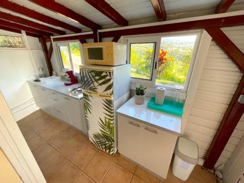 a small kitchen in a tiny house with a microwave at LES GITES DE LA RESERVE in Bouillante