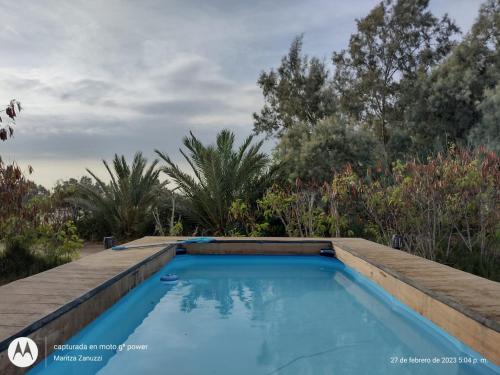 einen Pool in einem Garten mit Bäumen in der Unterkunft Paracas Chalet Fundo Zanuzzi in Buena Vista