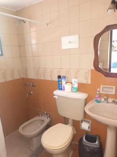 une petite salle de bain avec toilettes et lavabo dans l'établissement TODO AL ALCANCE DE LA MANO, à Mendoza