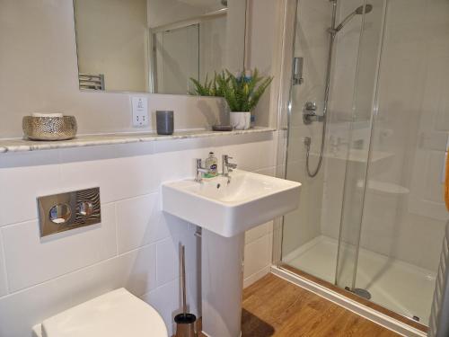 a bathroom with a sink and a shower at The Pelican Inn in Devizes