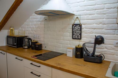 a kitchen with a counter top with a microwave at Old Town Loft Apartments in Kamianets-Podilskyi