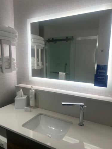 a bathroom with a sink and a large mirror at Hampton Inn By Hilton Kingston in Kingston