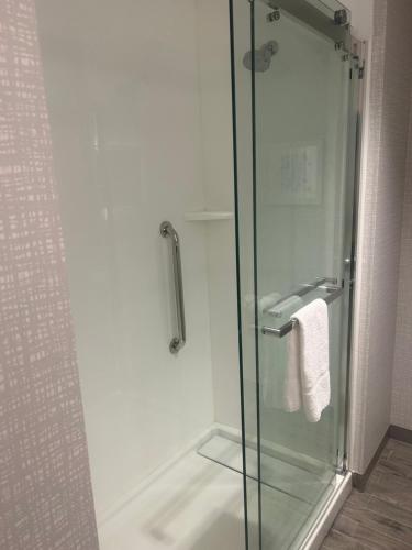 a shower with a glass door in a bathroom at Hampton Inn By Hilton Kingston in Kingston