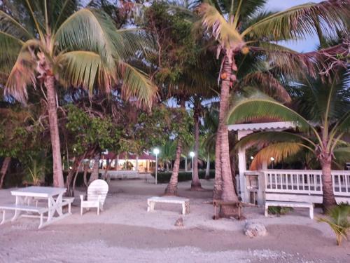 a group of benches and palm trees on the beach at Sea Eye Hotel - Tropical Building in Utila