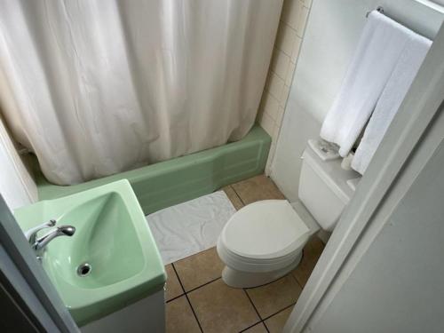 La salle de bains est pourvue d'un lavabo vert et de toilettes. dans l'établissement Bradley Motel, à Lakeland
