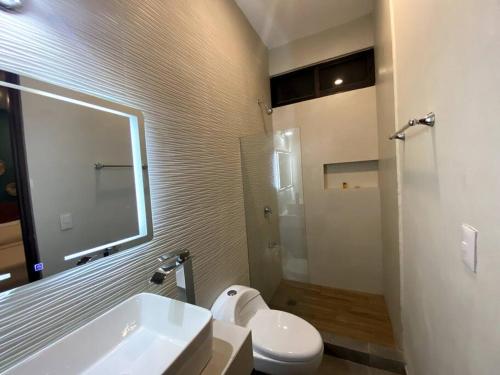 巴利亞多利德的住宿－Via 31 Departamentos Valladolid，一间带水槽、卫生间和镜子的浴室