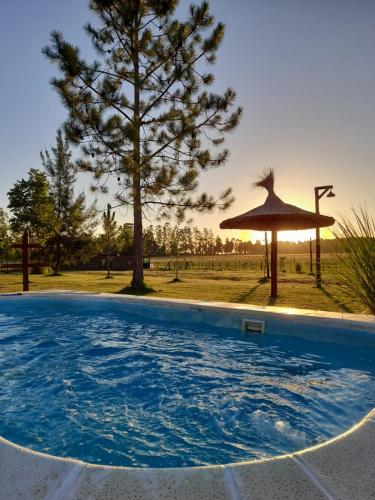 a swimming pool with a umbrella and a tree at La Cipriana in Concepción del Uruguay