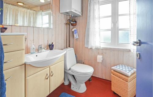 Lild StrandにあるStunning Home In Frstrup With Wifiのバスルーム(トイレ、洗面台付)、窓が備わります。