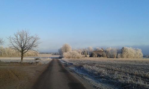 a road in a field with a tree and a house at Agervig Bed & Breakfast in Næsbjerg